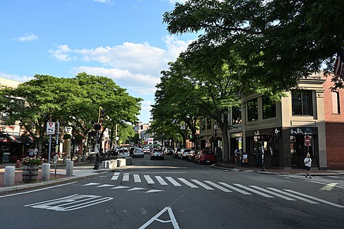 Holland Street looking south from the square, a crosswalk, storefronts under trees and parked cars along the curb.