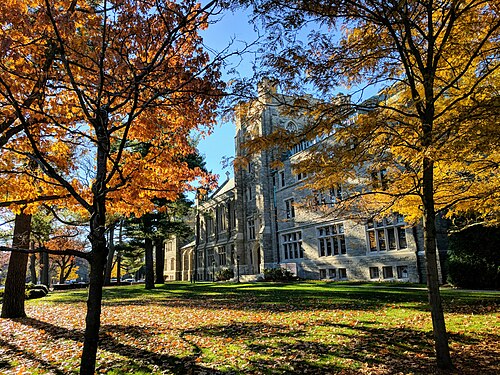 A grey stone Gothic building at Harvard Divinity School behind a lawn, seen through oak trees turning orange in autumn.