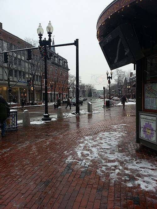 Brick paving wet with melting snow on the plaza, string lights over the street, pedestrians and a leashed dog crossing toward the storefronts on Brattle Street.