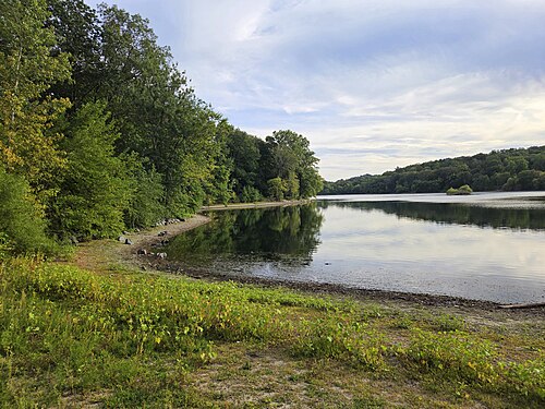 The wooded shoreline of Jamaica Pond from the Chestnut Street entrance, still water reflecting the treeline across to the far bank.