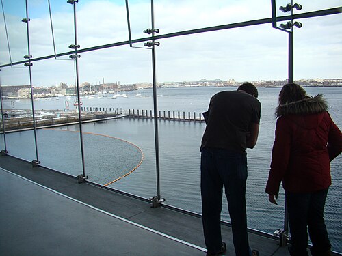 Two visitors seen from behind at a glass railing inside a cantilevered gallery, looking out over a reflecting pool and the harbor beyond.