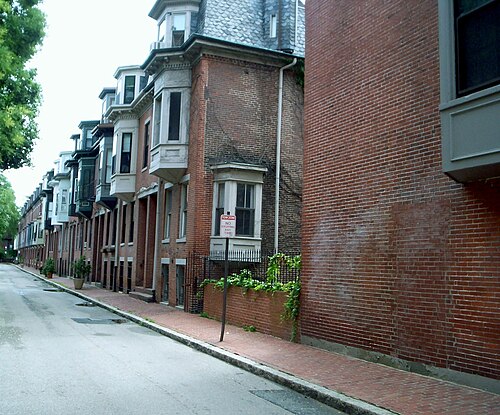 A row of bowfront brick townhouses on Warren Avenue, bay windows and a slate mansard roof, trees crowding the iron-railed front steps.