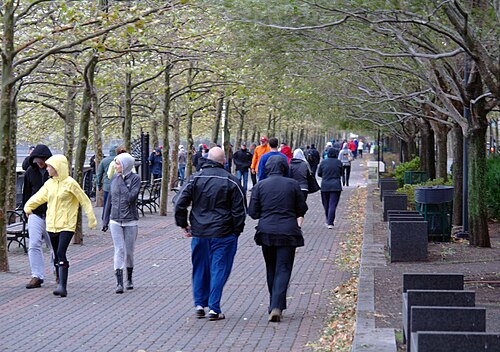 A tree lined, brick paved waterfront promenade, people walking beneath the branches with benches along the rail.