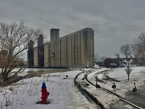 Massive concrete grain elevators along a frozen river bank with curved rail spur tracks and geese in the snow.