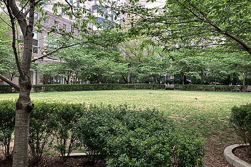 A lawn ringed by clipped hedges and young trees inside Pumphouse Park, an apartment tower's facade visible through the branches.