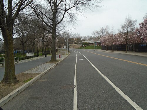 Shore Road looking along the roadway on an overcast spring day, the park strip and its benches on the left and houses on the right.