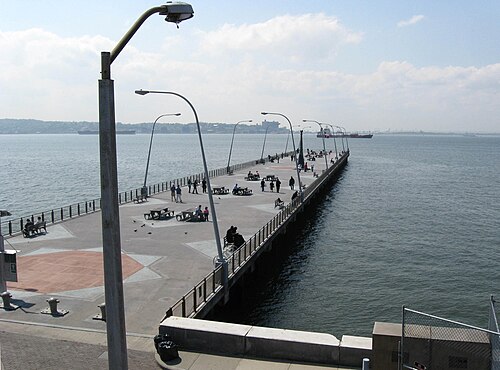 The pier at 69th Street, a wide concrete deck with picnic tables and tall lamp standards, ships anchored in the Narrows beyond it.