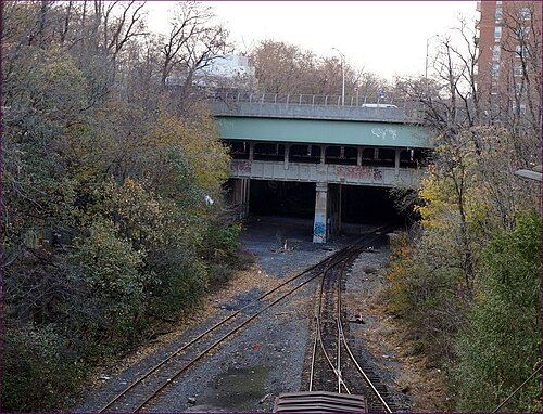 The freight cut passing under a road bridge, two tracks in the gravel and trees grown up both banks.