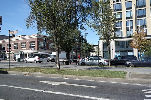 Eastern Parkway at Bedford Avenue, the grass mall and its benches in front, the service road and parked cars behind it and a 1920s brick corner building across the way.