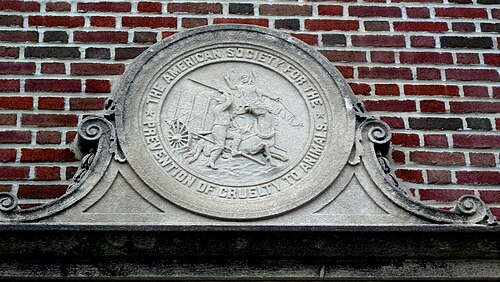 The stone medallion over the door of the old ASPCA building on Butler Street, cut with a man stopping a driver from beating his cart horse.