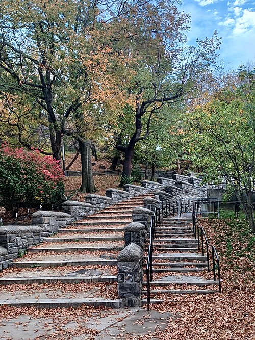 The terraced stone staircase in Marcus Garvey Park under autumn leaves.