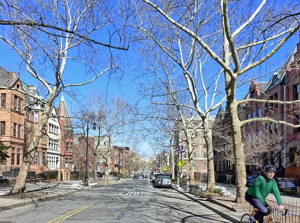 A Hamilton Heights street with turreted corner rowhouses of the Tenenbaum house character.