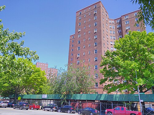 Towers of the Patterson Houses seen from Morris Avenue at East 142nd Street, street trees in front.