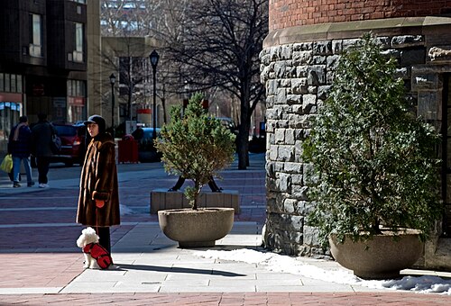 Main Street in winter, red brick paving and stone planters, with a woman walking a dog past a brick building on a rough stone base.