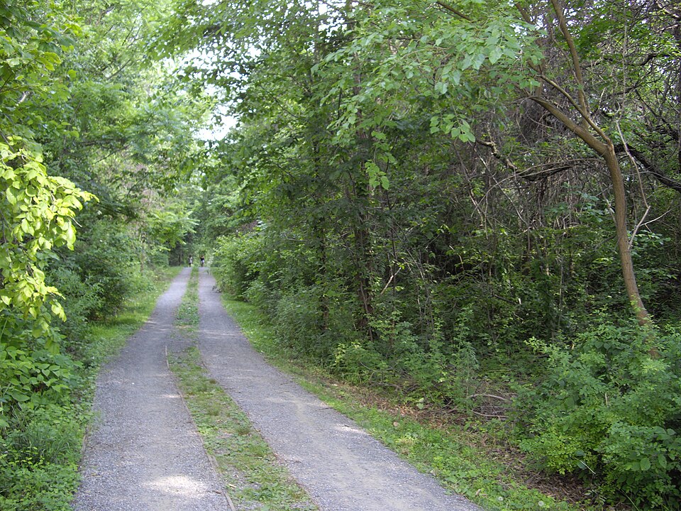 A gravel path through trees in the Wards Point section of Conference House Park.