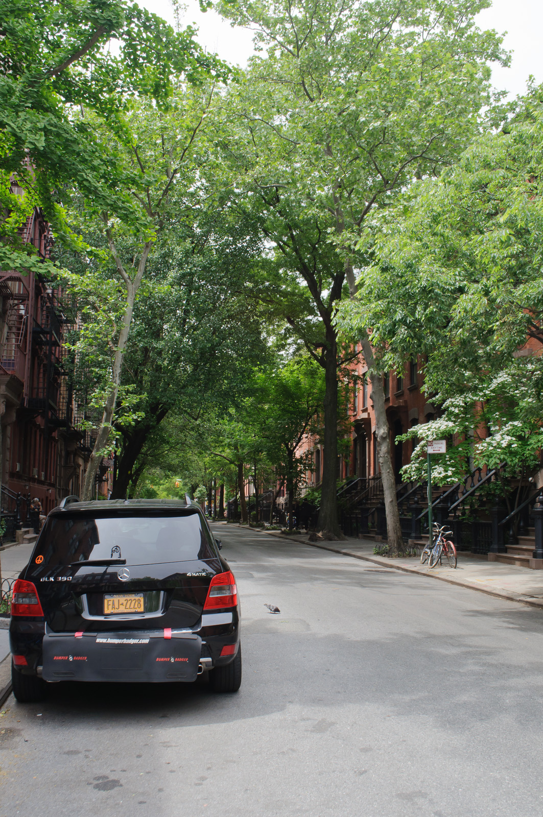 Charles Street under full trees, brownstone stoops along one side and brick fronts with fire escapes on the other, with the roadway empty in the middle of the day.