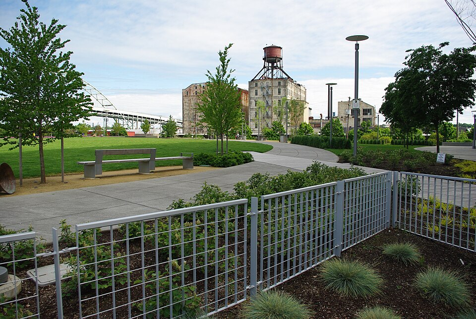 An open lawn behind low grid fencing around a dog off leash area, paved paths curving past young trees, with an old grain elevator and water tower past the buildings at the park's edge.