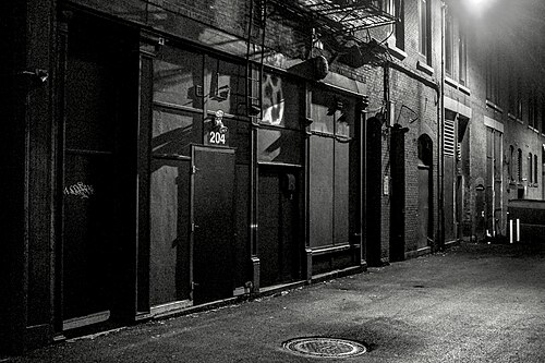 A service alley behind downtown storefronts at night, brick walls, a black iron fire escape and shuttered loading doors numbered 204.