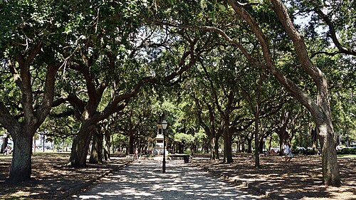 A gravel path through White Point Garden under a dense canopy of live oaks, a monument and streetlamp in the distance.