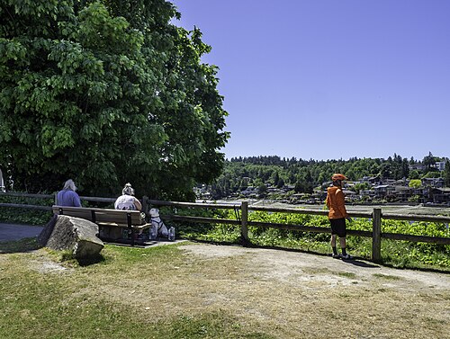 The view across Salmon Bay from a bench on the Ballard side, houses on the far shore at Magnolia.