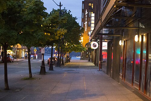 A quiet street at dusk in Belltown, trees along a wide sidewalk sloping toward the water, storefronts and bar windows lit up ahead.