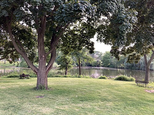 The pond at Mitchell Park on the bluff above the valley, mature trees shading the lawn and a bench at the water's edge.